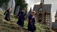 The three main characters (Image via Instagram/@harrypotter)